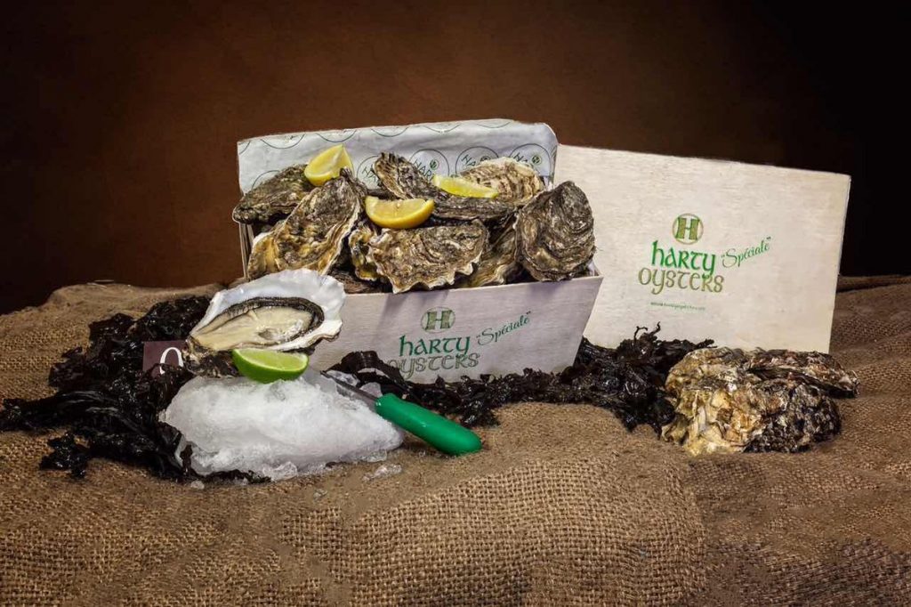 Harty Oysters: Six Generations on Dungarvan Bay, Producing Ireland's Finest