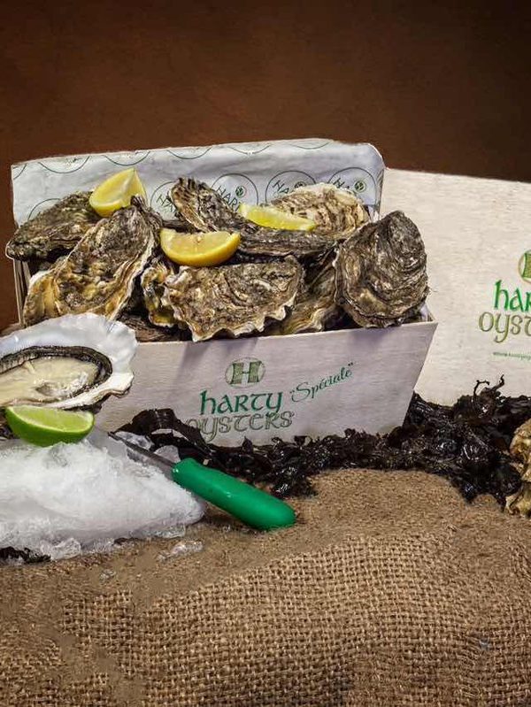 Artisan Food - Oysters Ireland