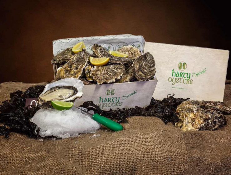 Artisan Food - Oysters Ireland
