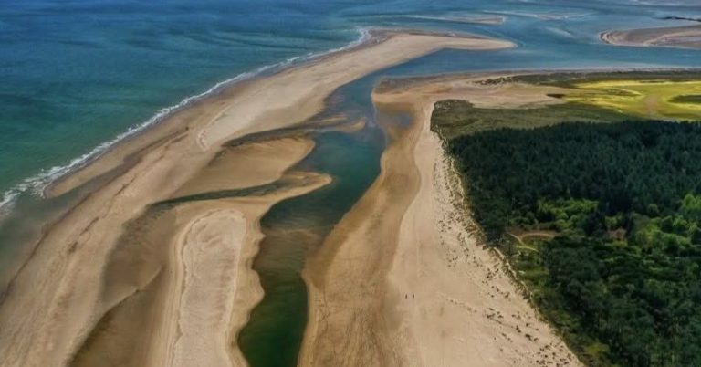 Curracloe Beach: Wexford’s Film-Star Strand of Golden Sand