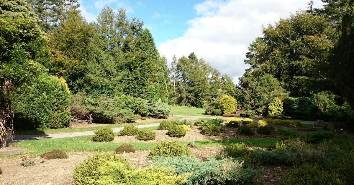 The JFK Arboretum: A Living Memorial in the Kennedy Homeland