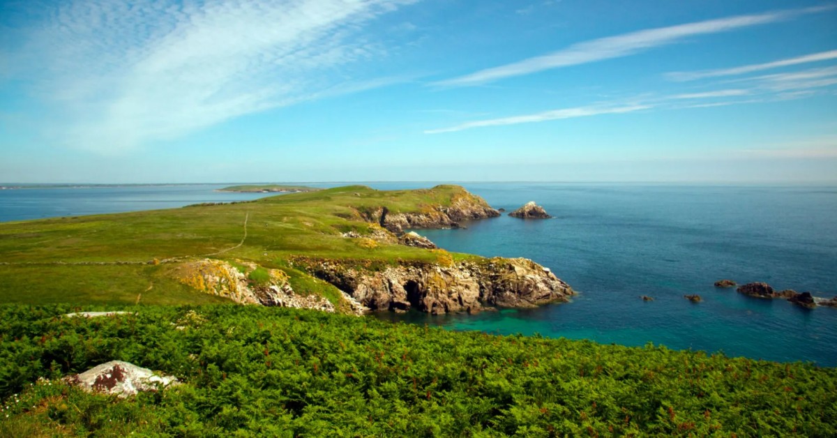 The Saltee Islands: Wexford’s Puffin-Filled Seabird Sanctuary